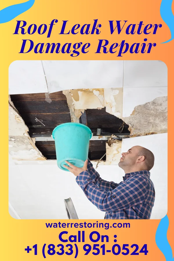 Roof Leak Water Damage Repair in Kinsman Center, OH