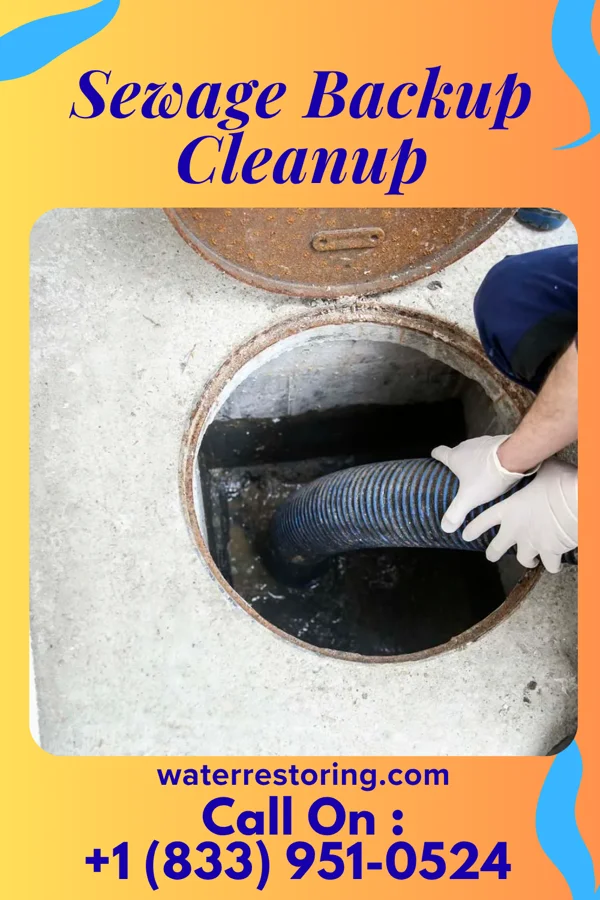 Sewage Backup Cleanup in Kinsman Center, OH